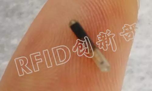 动物玻璃管RFID标签.jpg